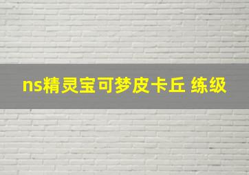 ns精灵宝可梦皮卡丘 练级